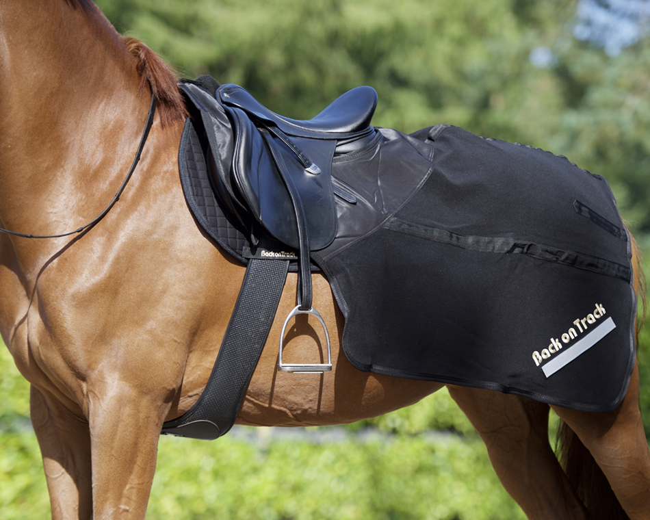The Benefits of Therapeutic Blankets (And Why Your Horse Needs One)