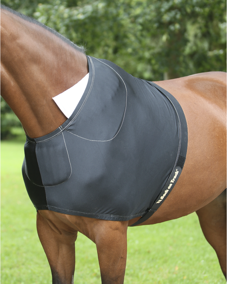 The Importance of an Equine Shoulder Guard