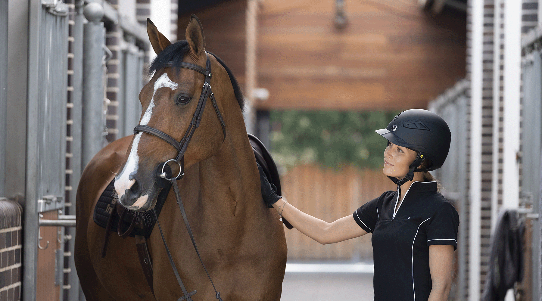 ways to pamper your show horse