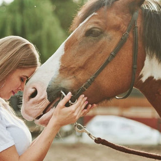 Horseback riding can improve your health