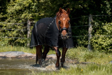 Horse Blankets & Sheets