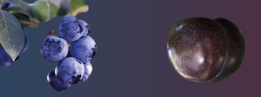 Deep Nights® Collection