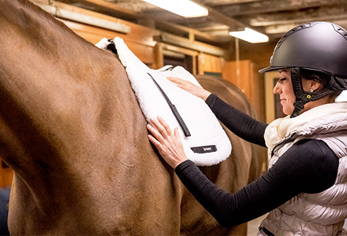 Back on Track Teddy Saddle Pad – all-purpose, cushioned pad for comfort, support, and moisture control