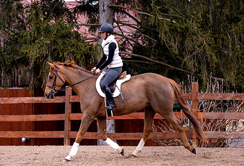 Back on Track Teddy Saddle Pad – all-purpose, cushioned pad for comfort, support, and moisture control