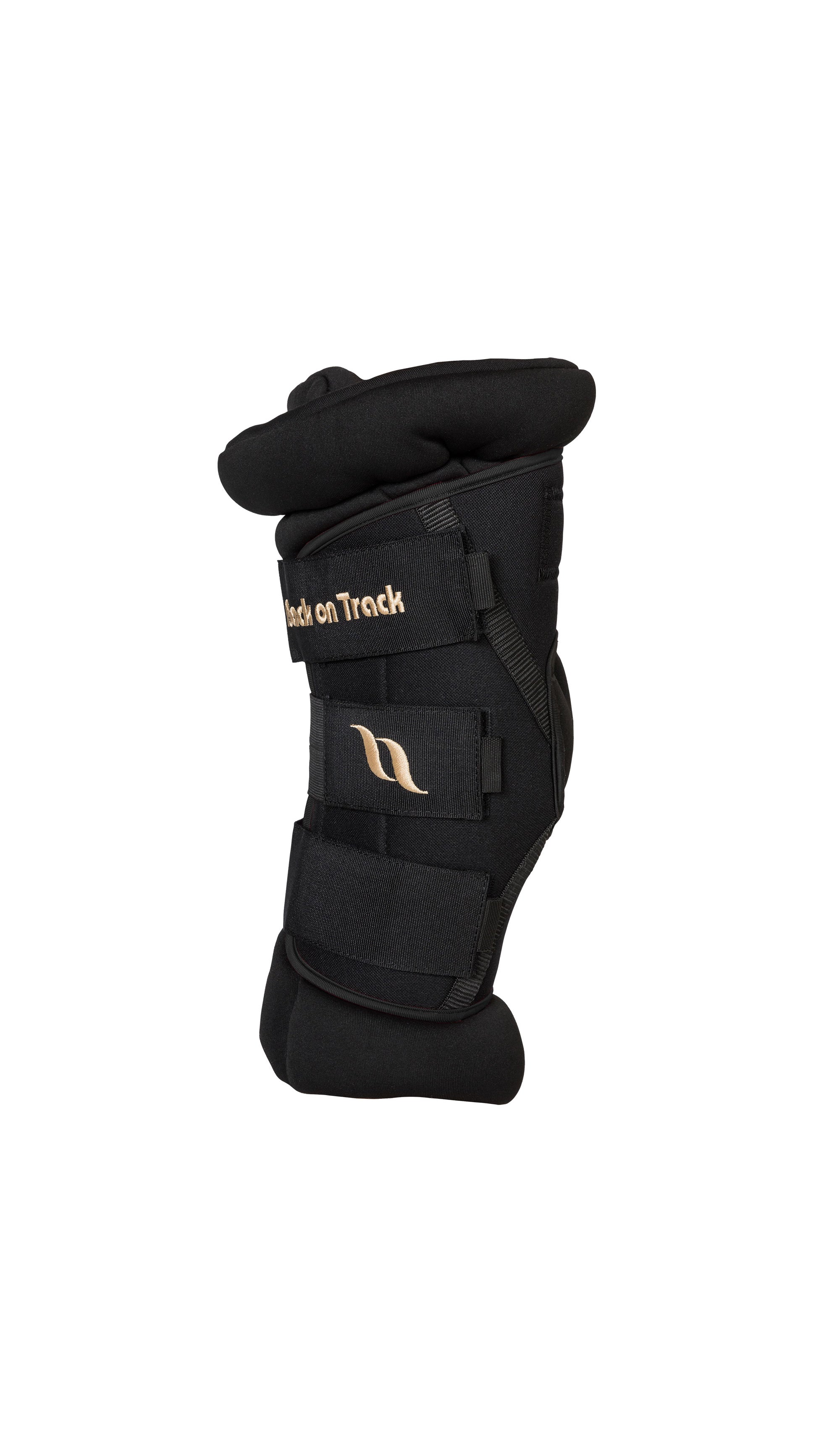 Back on Track Royal Deluxe Hock Boots with padding for joint support, comfort, and therapeutic benefits