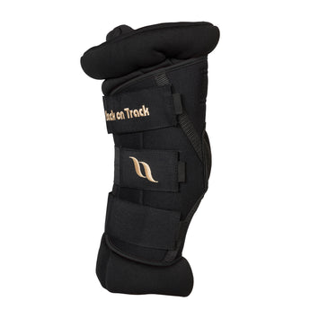 Back on Track Royal Deluxe Hock Boots with padding for joint support, comfort, and therapeutic benefits