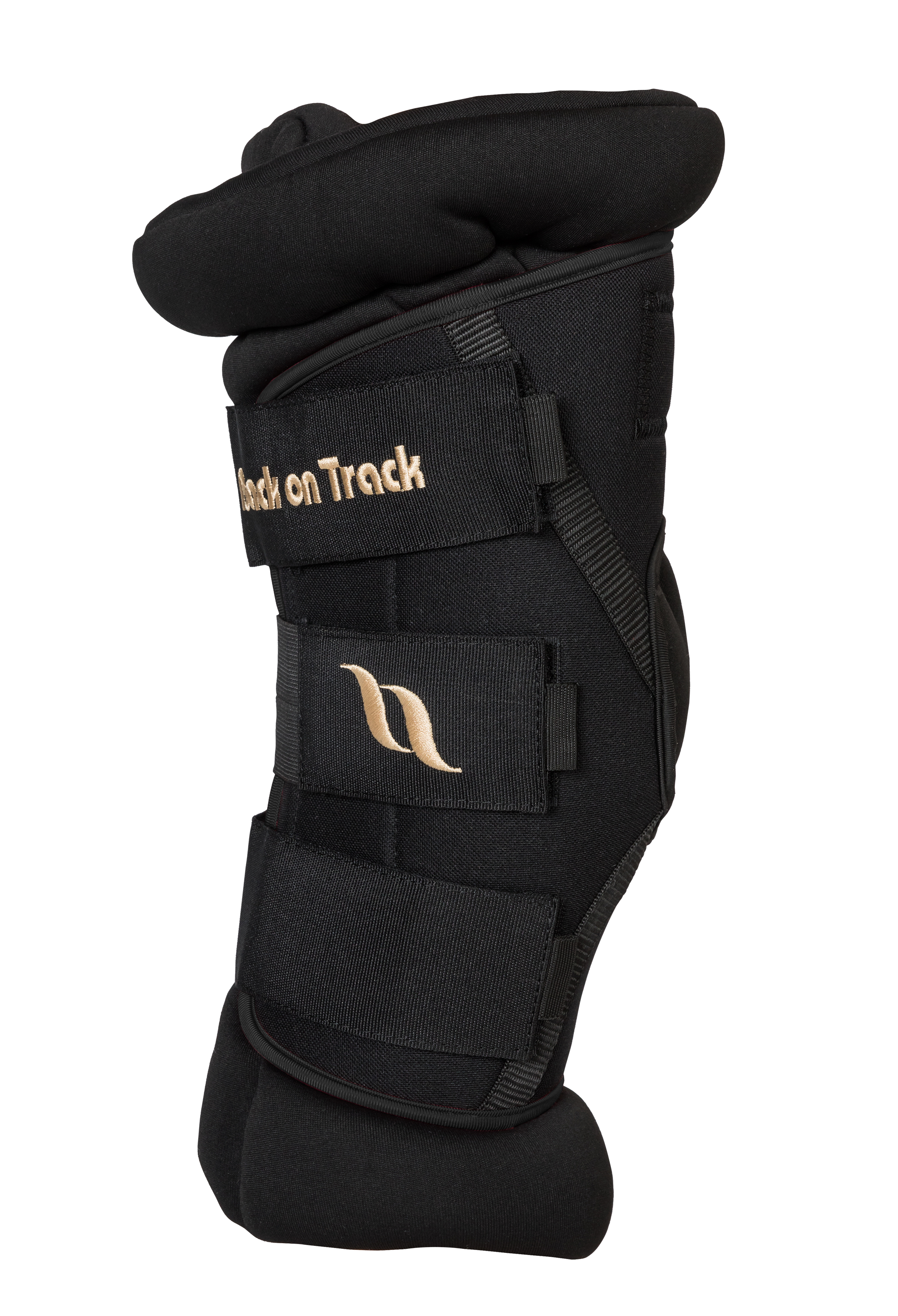 Back on Track Royal Deluxe Hock Boots with padding for joint support, comfort, and therapeutic benefits