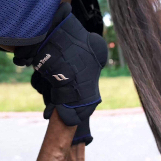 Back on Track Royal Deluxe Hock Boots with padding for joint support, comfort, and therapeutic benefits