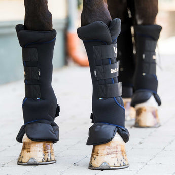 Back on Track Royal Quick Wraps Deluxe for horses, offering leg support, comfort, and therapeutic benefits