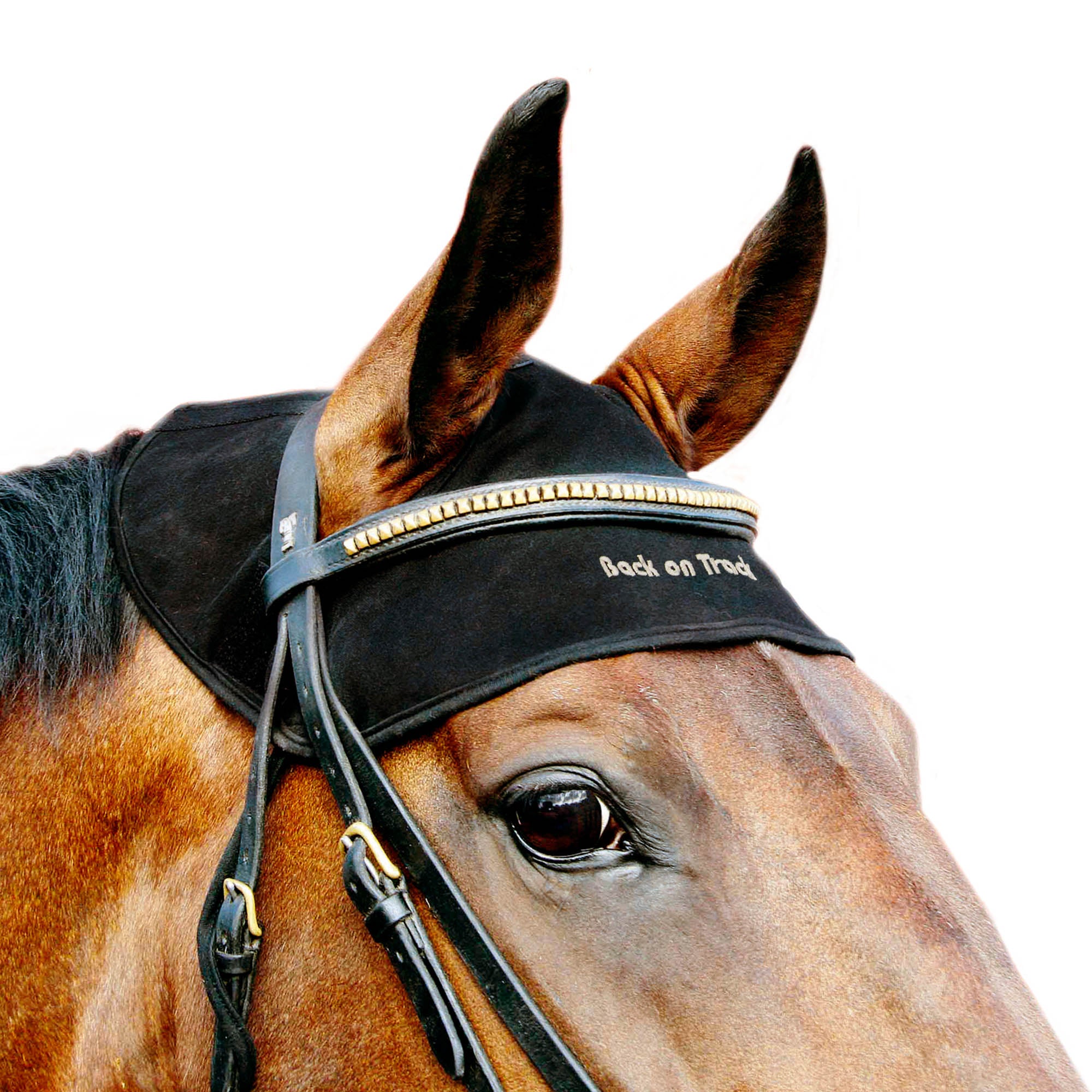 Back on Track Back Horse Head Cap – stylish, breathable cap featuring embroidered horse head design for comfort and flair