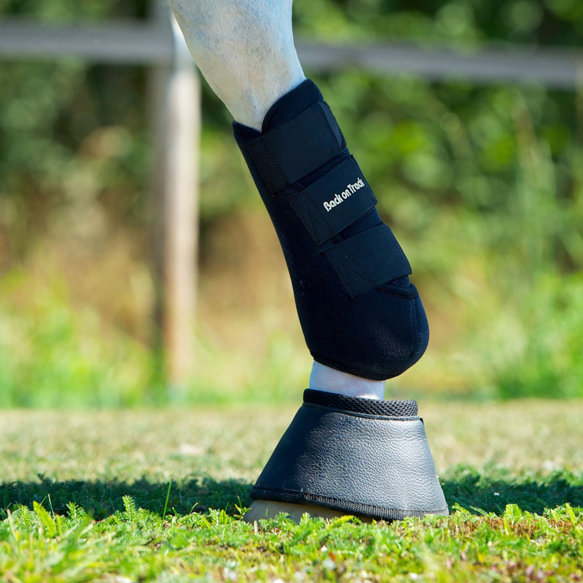 Back on Track Classic Exercise Boots – protective, breathable leg support for horses during training or turnout