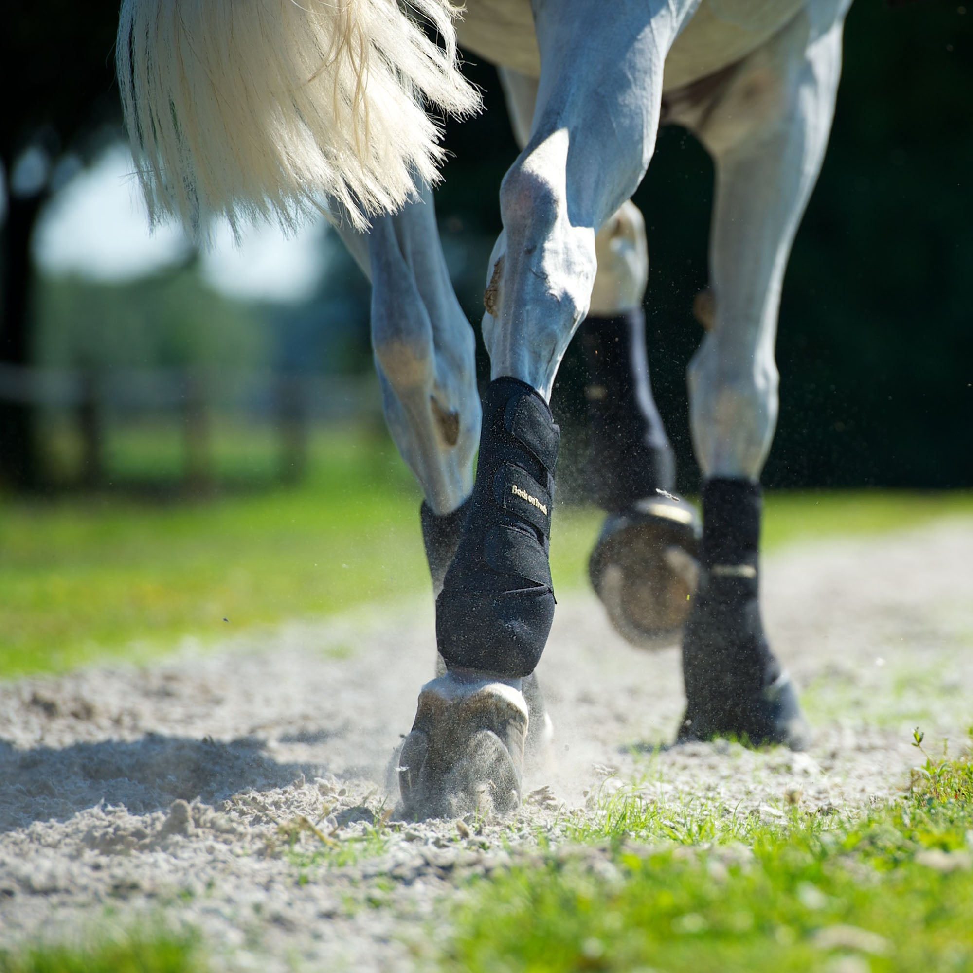 Back on Track Classic Exercise Boots – protective, breathable leg support for horses during training or turnout