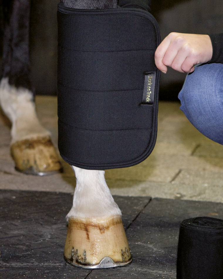 Back on Track No Bow Leg Wraps – supportive, therapeutic wraps for equine leg protection and recovery