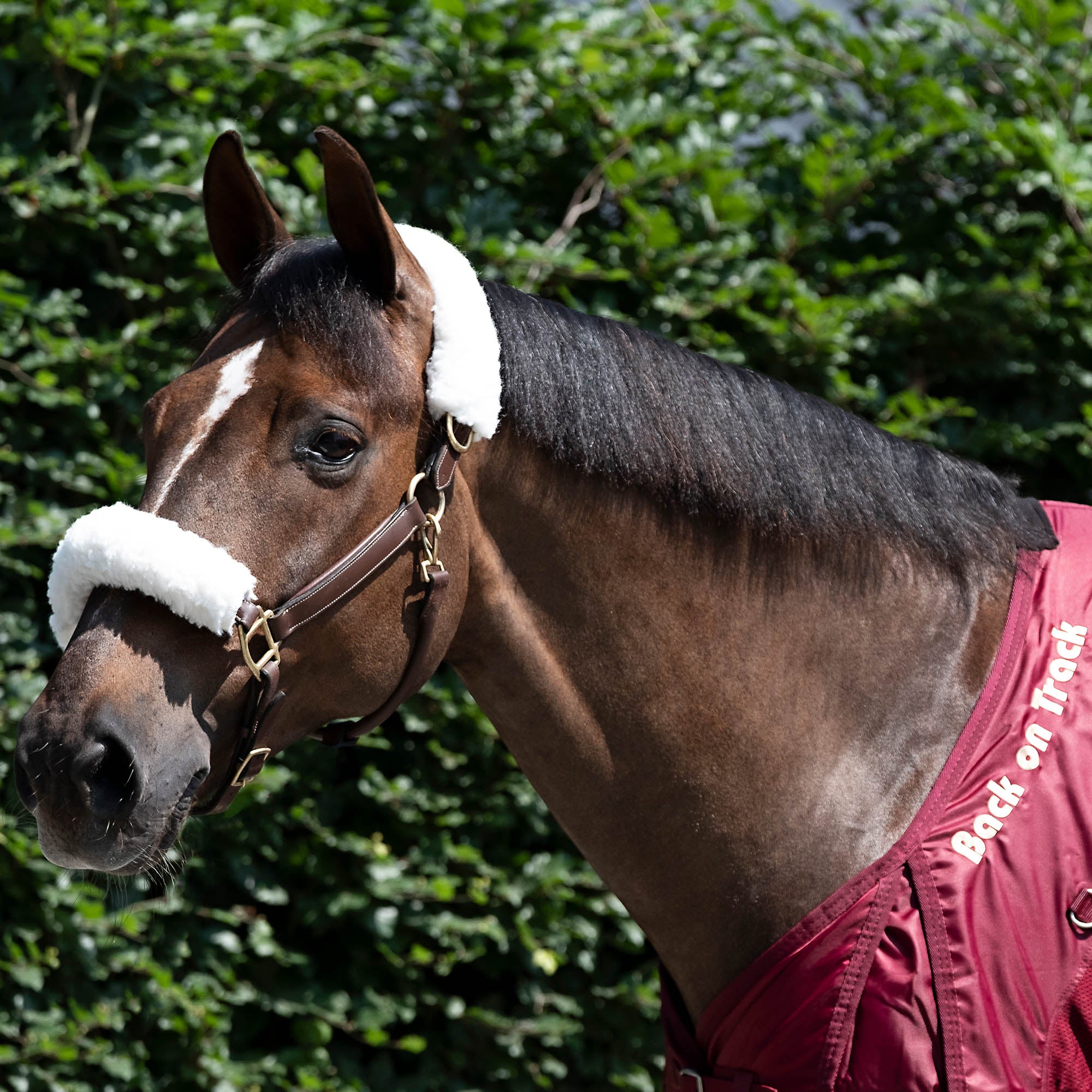 Back on Track Fleece White Halter Cover – soft, protective cover for halters to prevent rubbing and enhance comfort