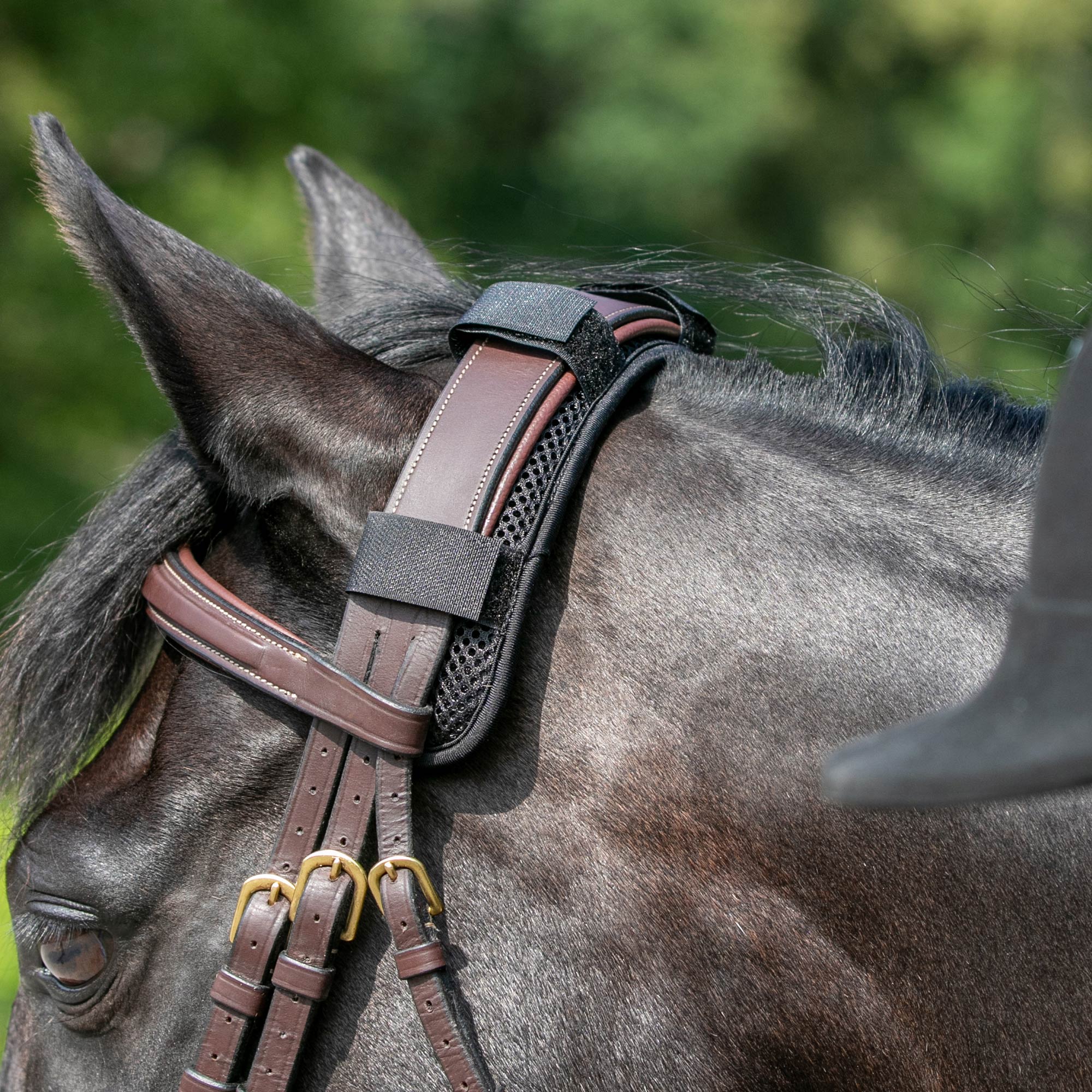 Back on Track Poll Cover – soft, therapeutic cover for equine poll area to ease tension and support relaxation