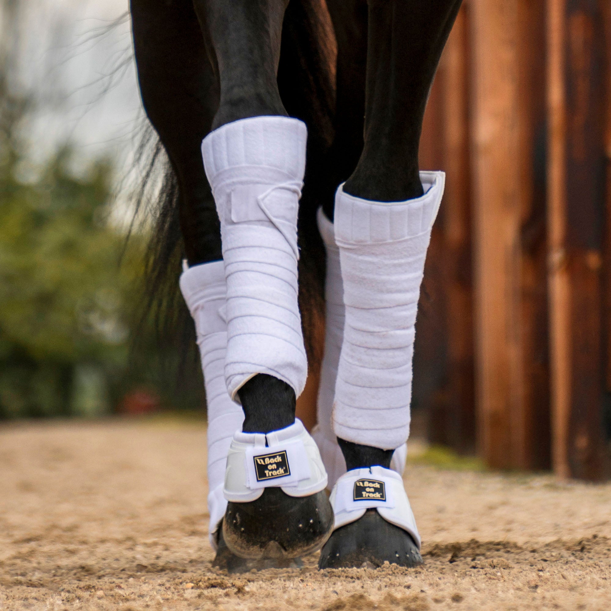Back on Track Performance Bell Boots – durable, shock-absorbing hoof protection for training and turnout