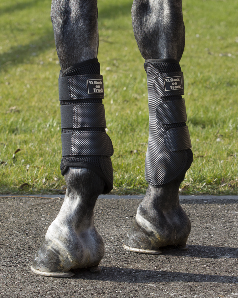 Back on Track 3D Mesh Splint Boots – breathable, protective, and supportive boots for horse leg comfort and recovery