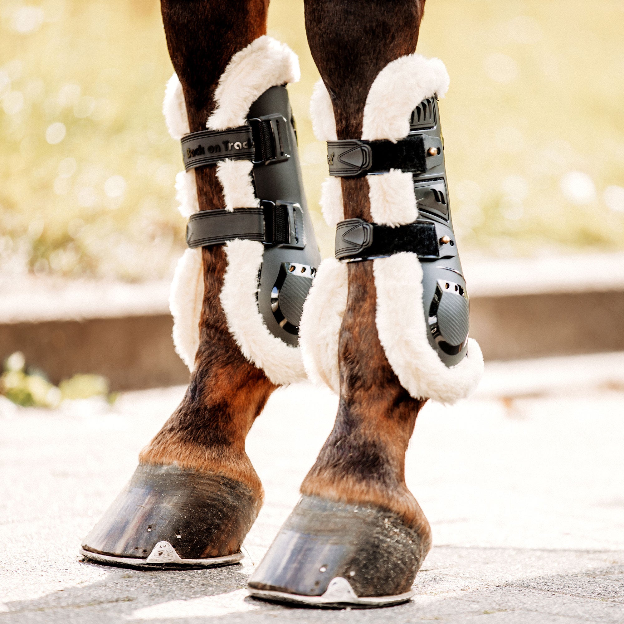 Back on Track airflow tendon boots with faux fur, breathable leg protection for horses with soft lining