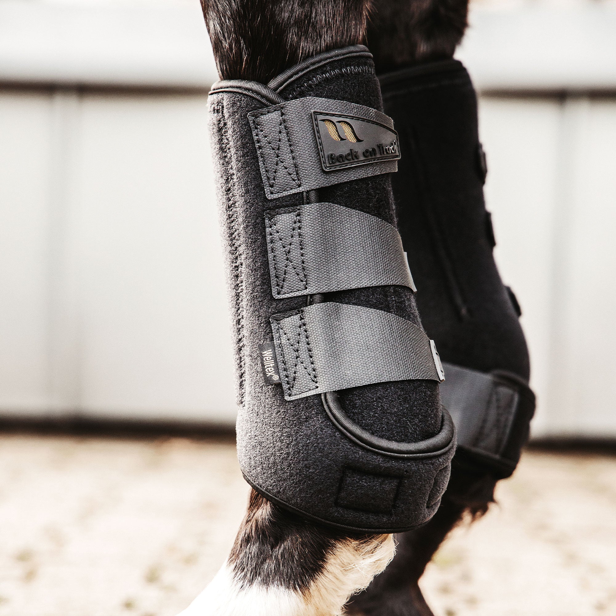 Back on Track Airflow Exercise Boots – breathable, protective boots for equine leg support during workouts