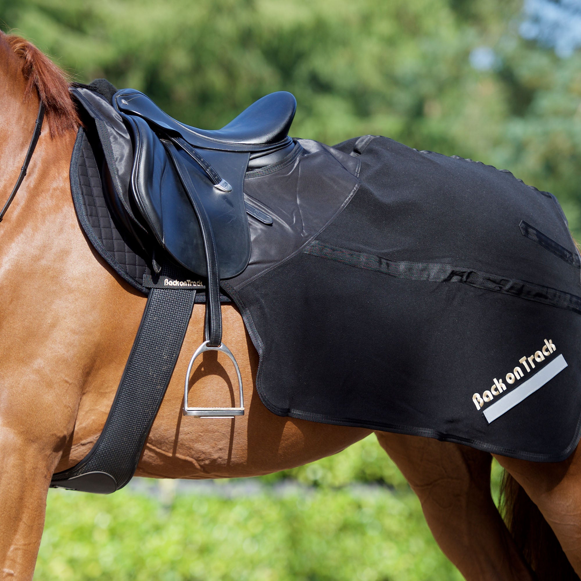 Back on Track horse exercise sheet, provides warmth and comfort during workouts or cool-downs