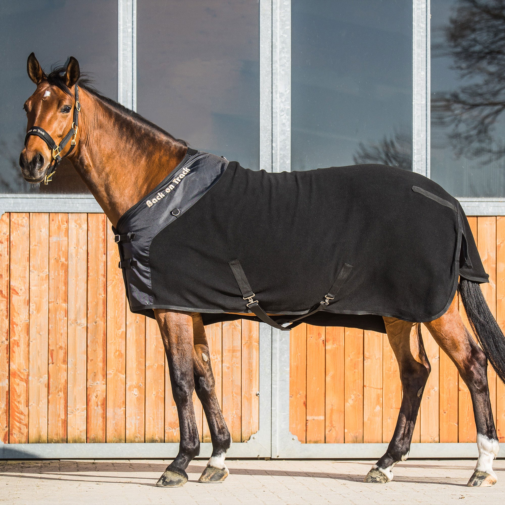 Back on Track Supreme Horse Cooler with breathable fabric for post-exercise recovery and temperature regulation