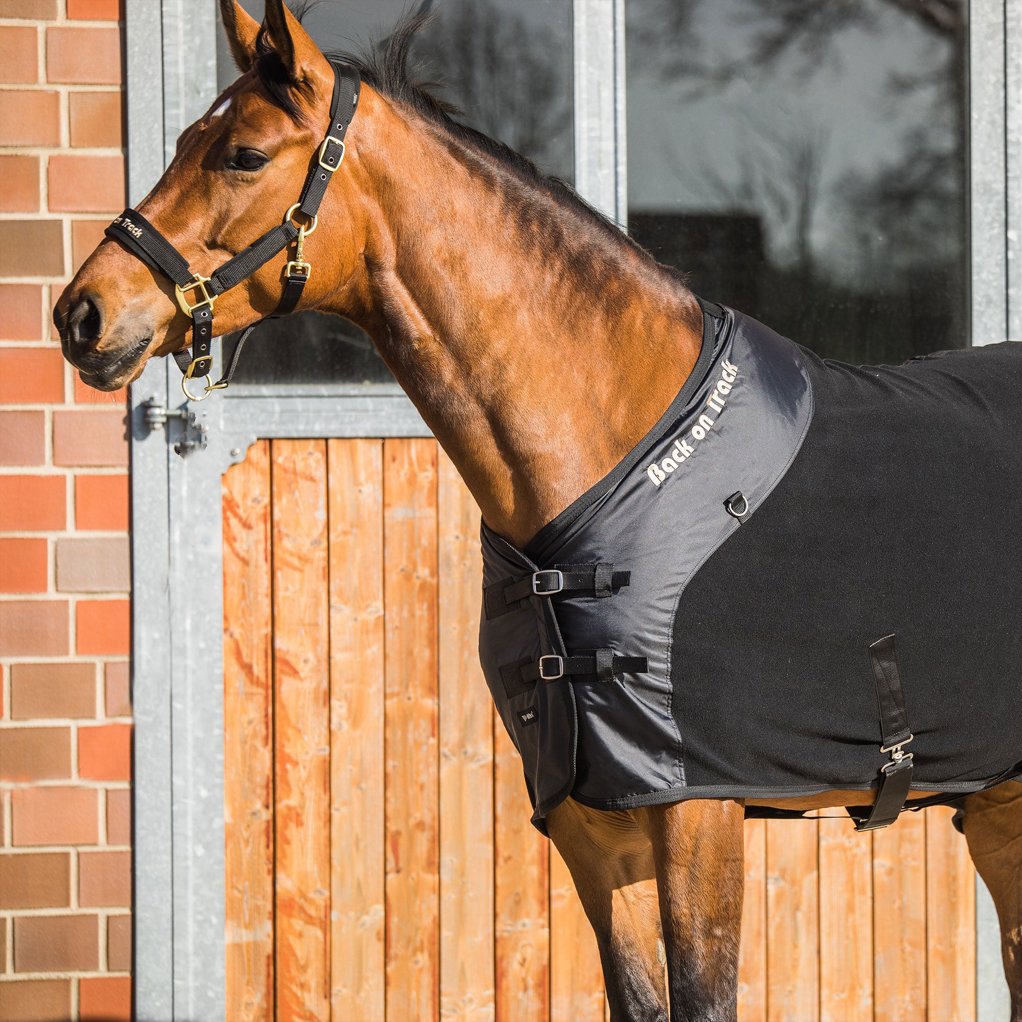 Back on Track Supreme Horse Cooler with breathable fabric for post-exercise recovery and temperature regulation