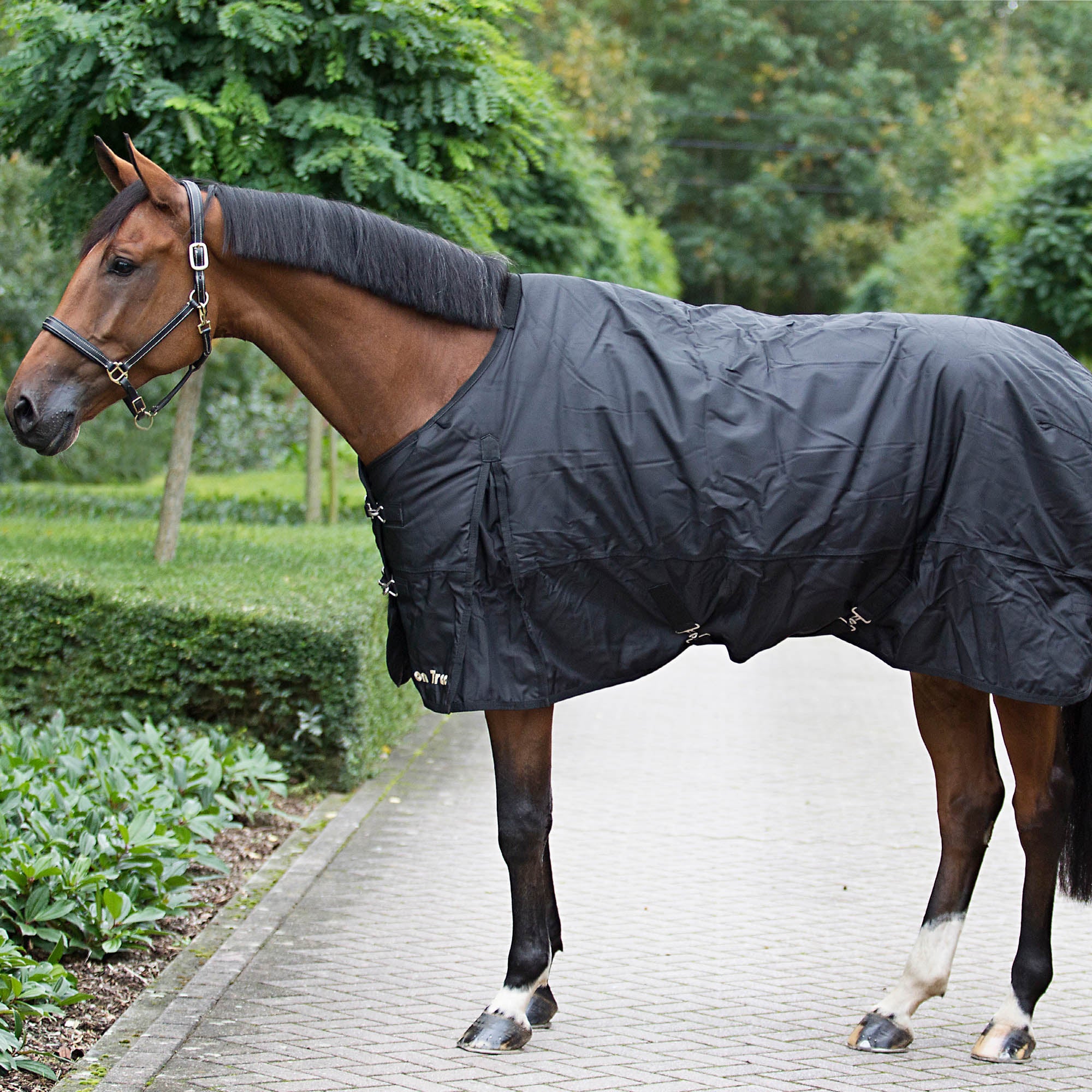 Back on Track Classic turnout sheet with Welltex®, waterproof 1680D fabric for sore backs, arthritis, and mobility