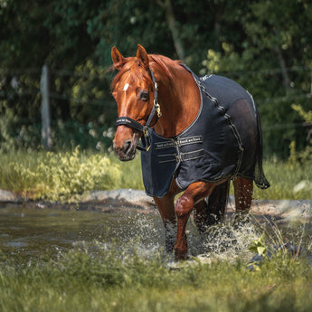 Back on Track Sienna horse mesh cooler with Welltex®, breathable and quick-drying for muscle relief and travel comfort