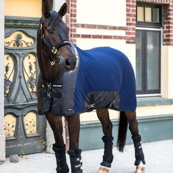 Back on Track Royal Mesh Sheet Deluxe for horses, offering breathable comfort, protection, and therapeutic support