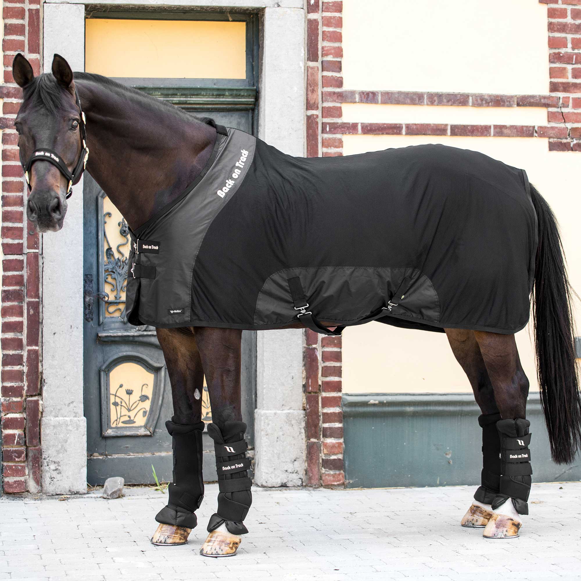 Back on Track Royal Mesh Sheet Deluxe for horses, offering breathable comfort, protection, and therapeutic support