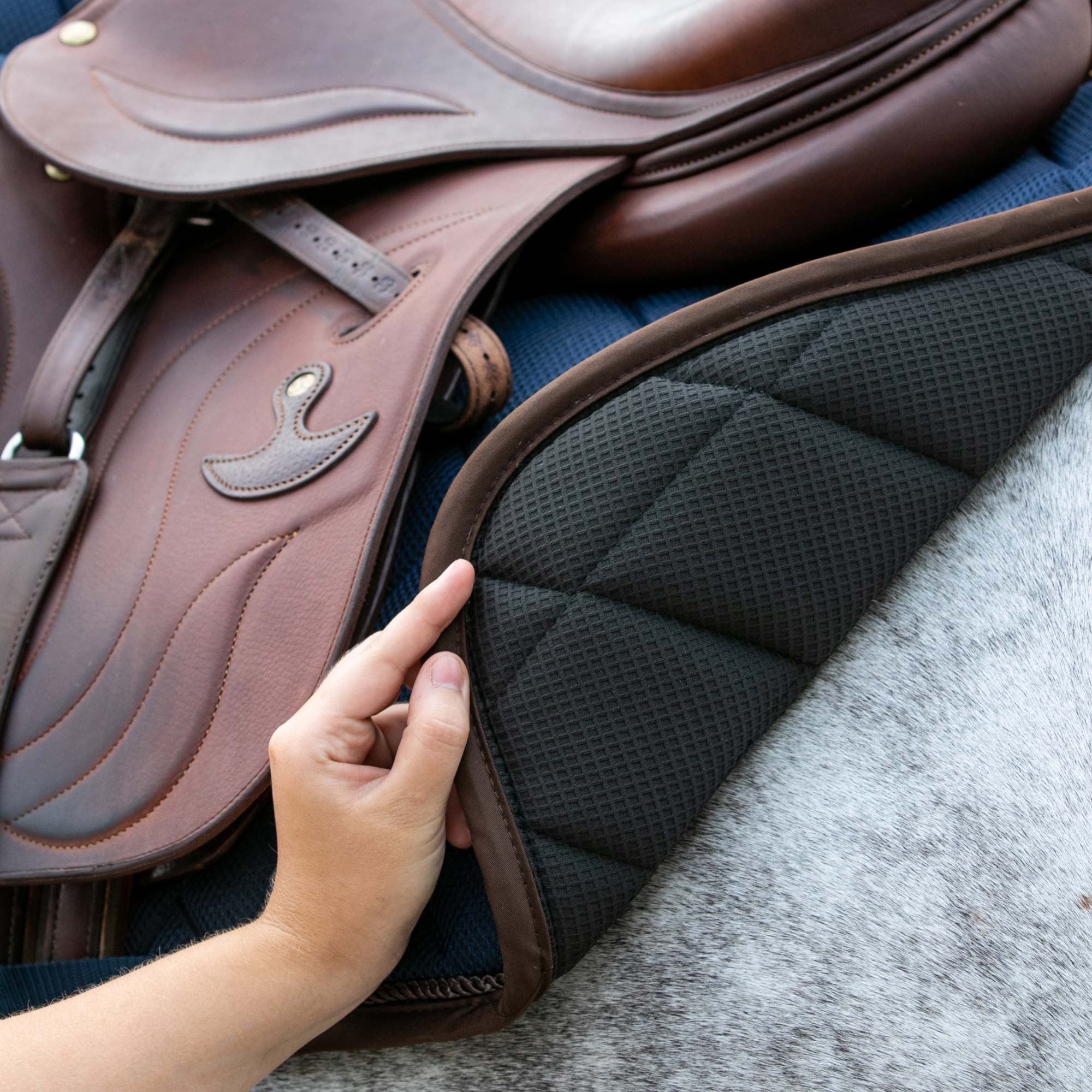 Back on Track Airflow All-Purpose Saddle Pad with breathable mesh and ergonomic design for horse comfort