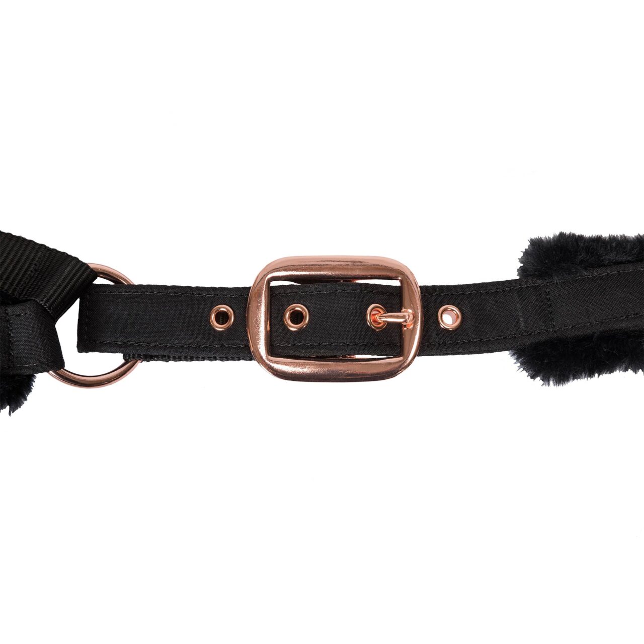 Back on Track Haze Collection halter with soft padding, durable hardware, and elegant design for equine comfort