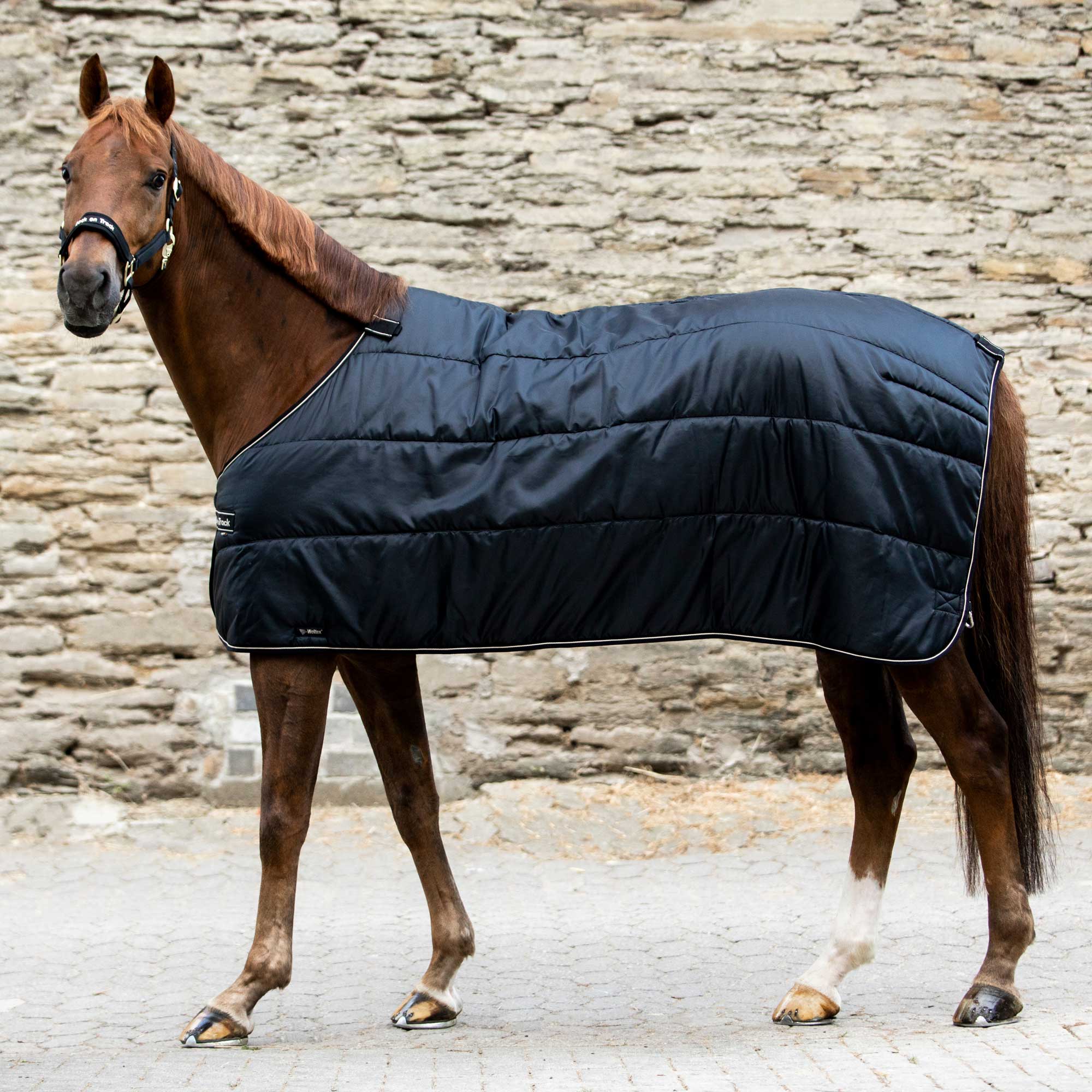Back on Track Rhyolite Insulated Liner for horses, offering warmth, comfort, and compatibility with turnout blankets