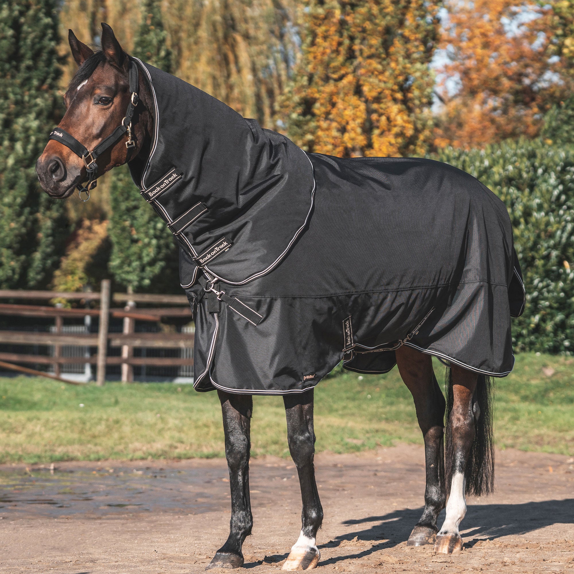 Back on Track Obsidian Turnout Blanket with Neck Cover for horses, offering weather protection and therapeutic support