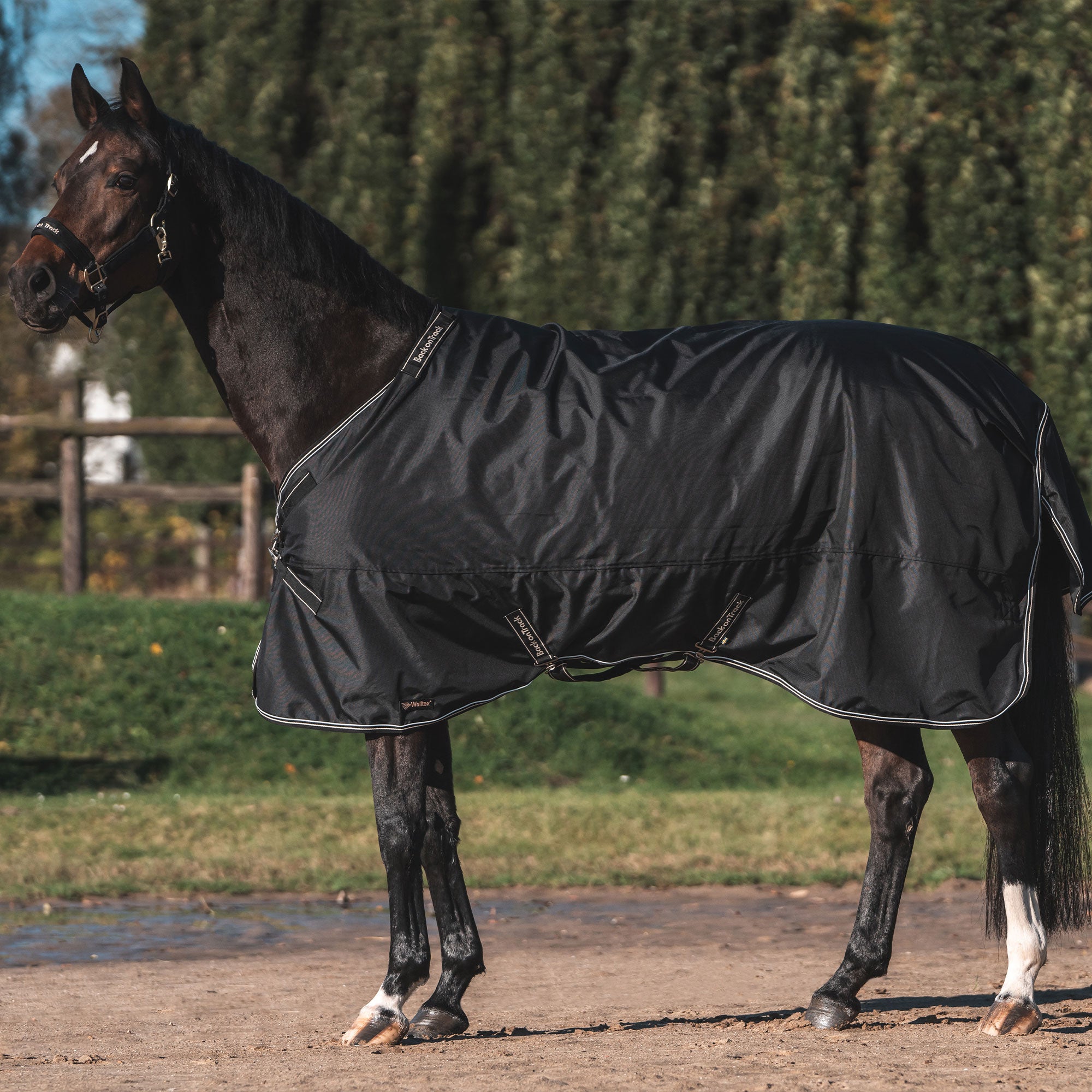 Back on Track Obsidian Turnout Blanket with Neck Cover for horses, offering weather protection and therapeutic support