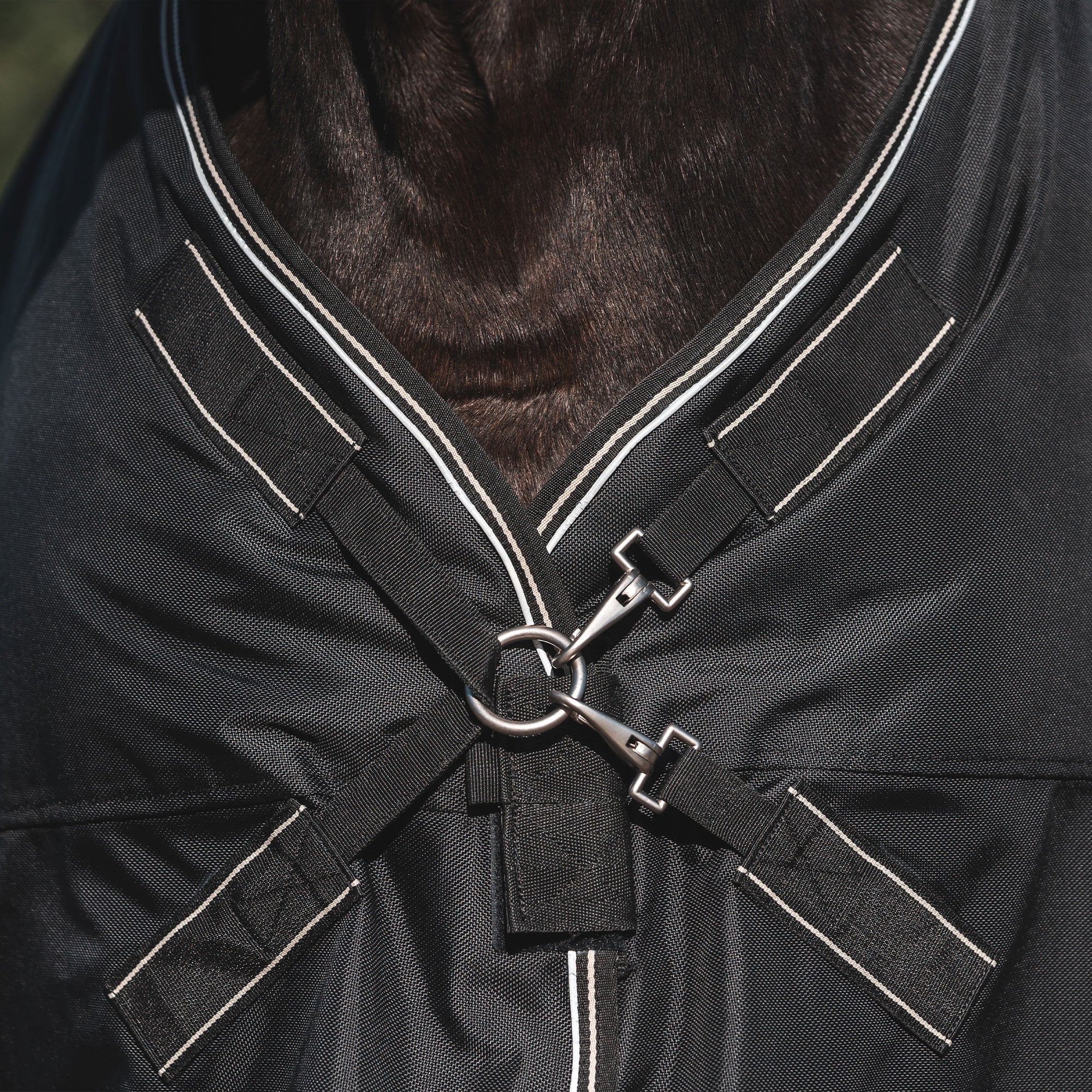 Back on Track Obsidian Turnout Blanket with Neck Cover for horses, offering weather protection and therapeutic support