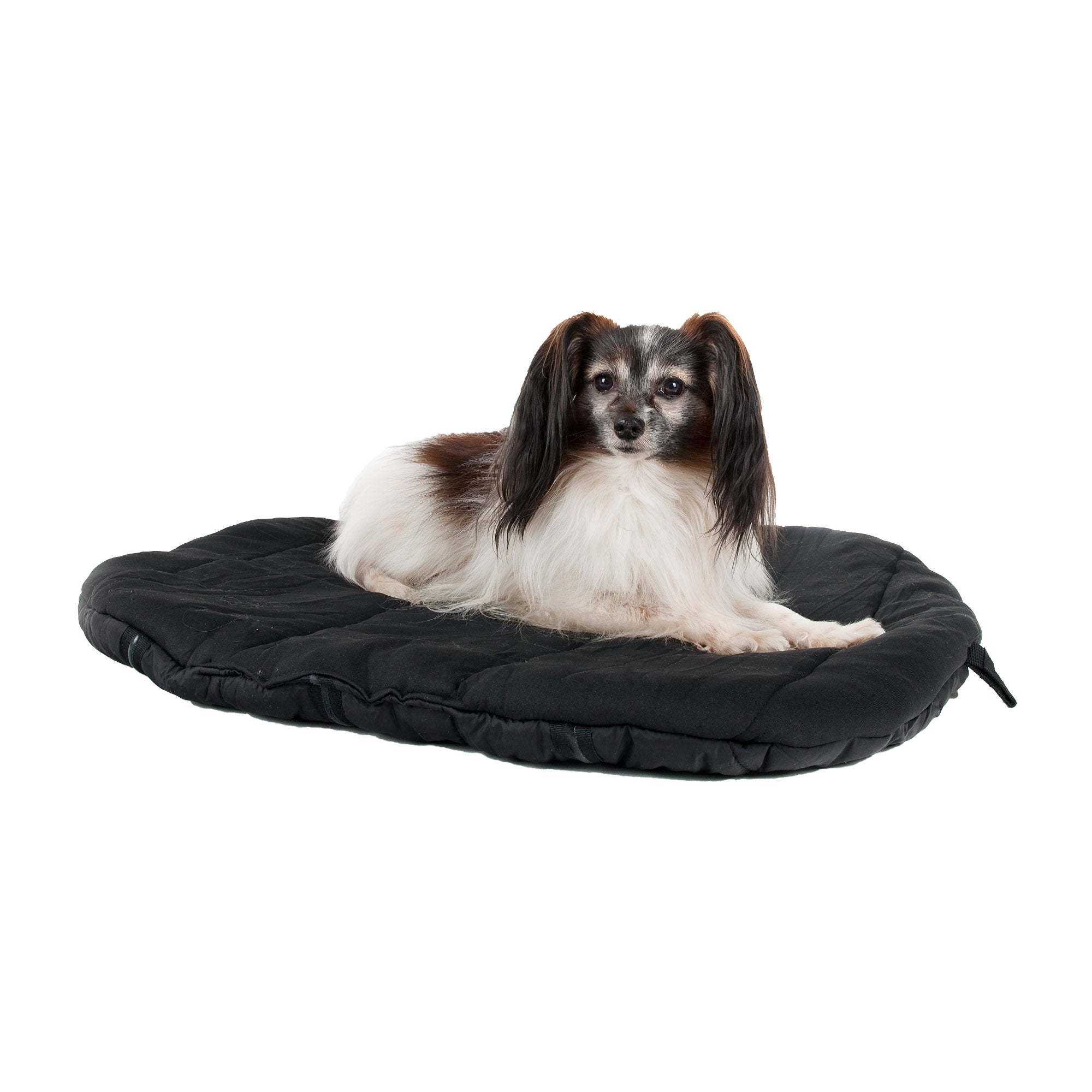 Back on Track oval dog bed, top choice for comfort and joint support with soft, durable design