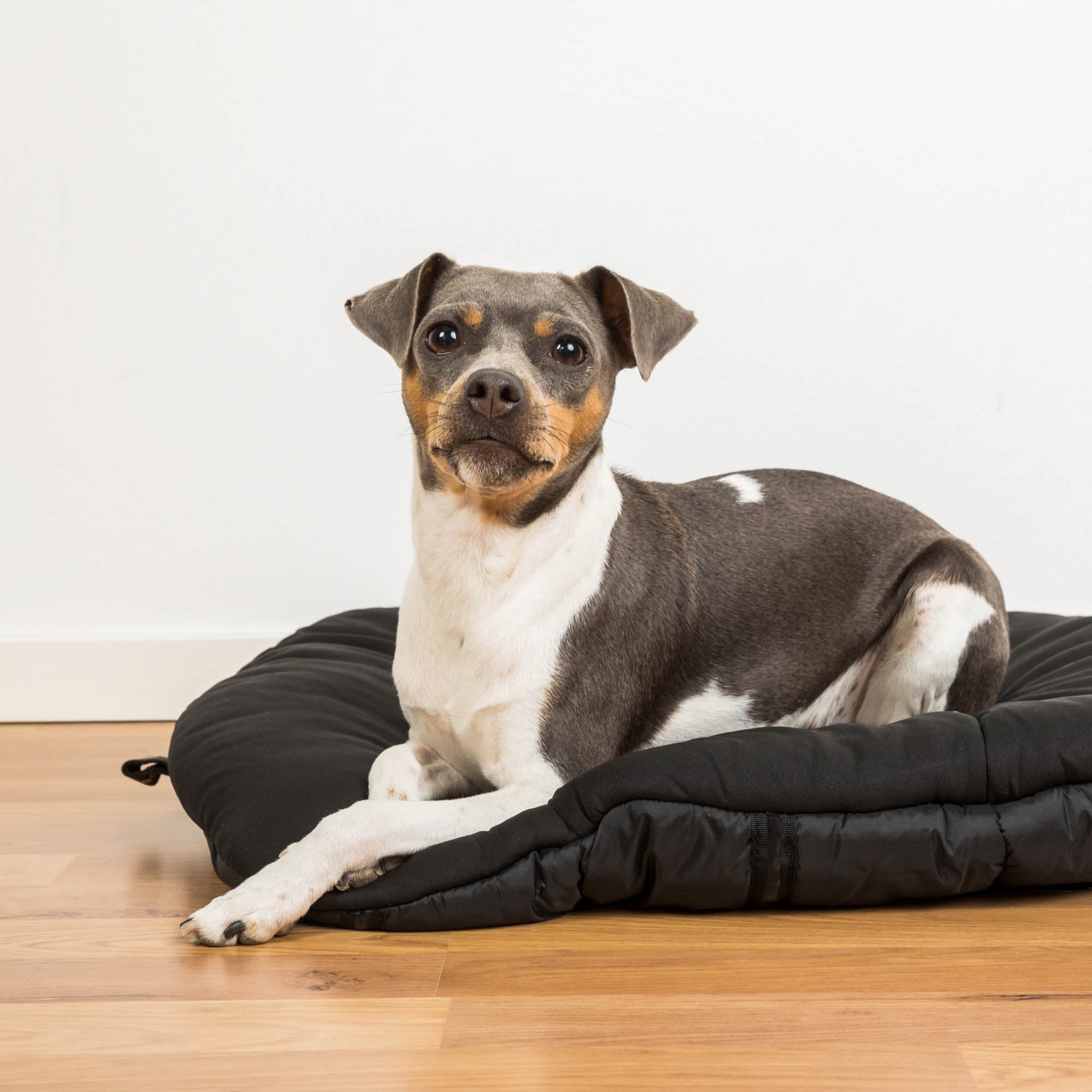 Back on Track oval dog bed, top choice for comfort and joint support with soft, durable design