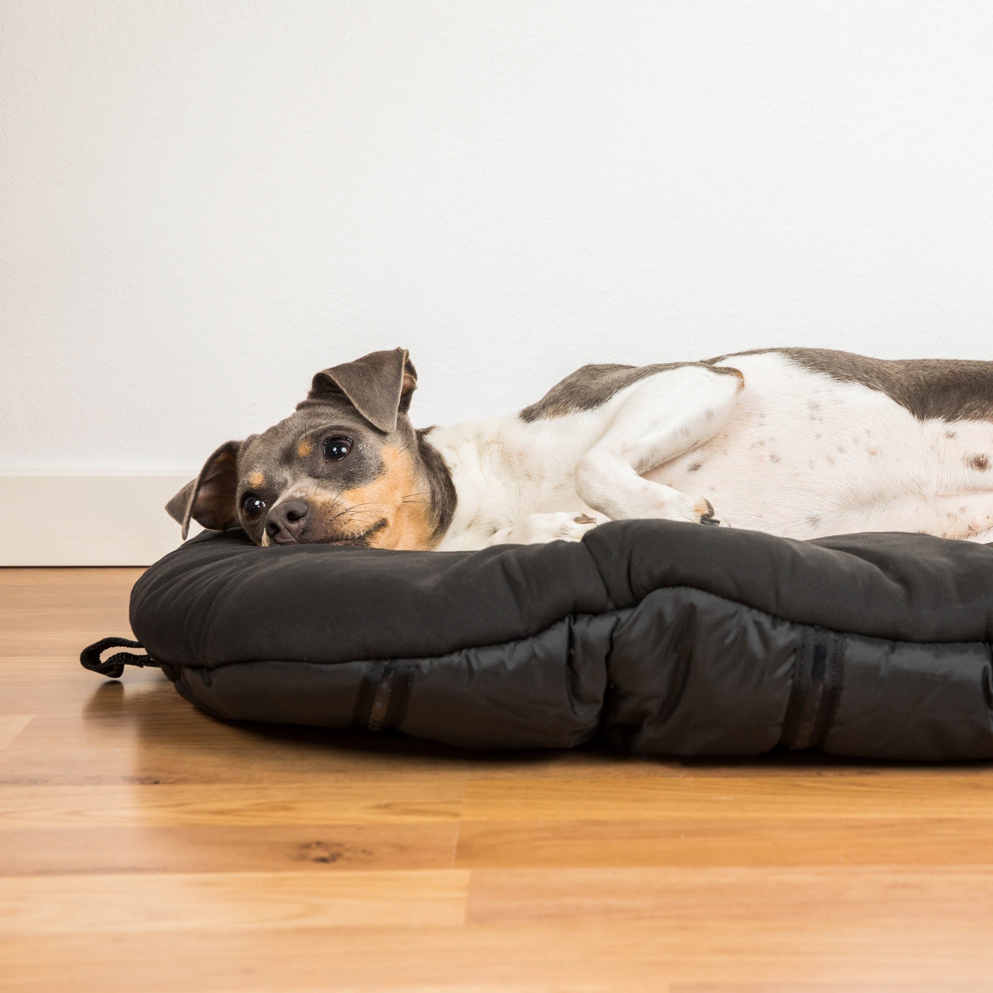 Back on Track oval dog bed, top choice for comfort and joint support with soft, durable design