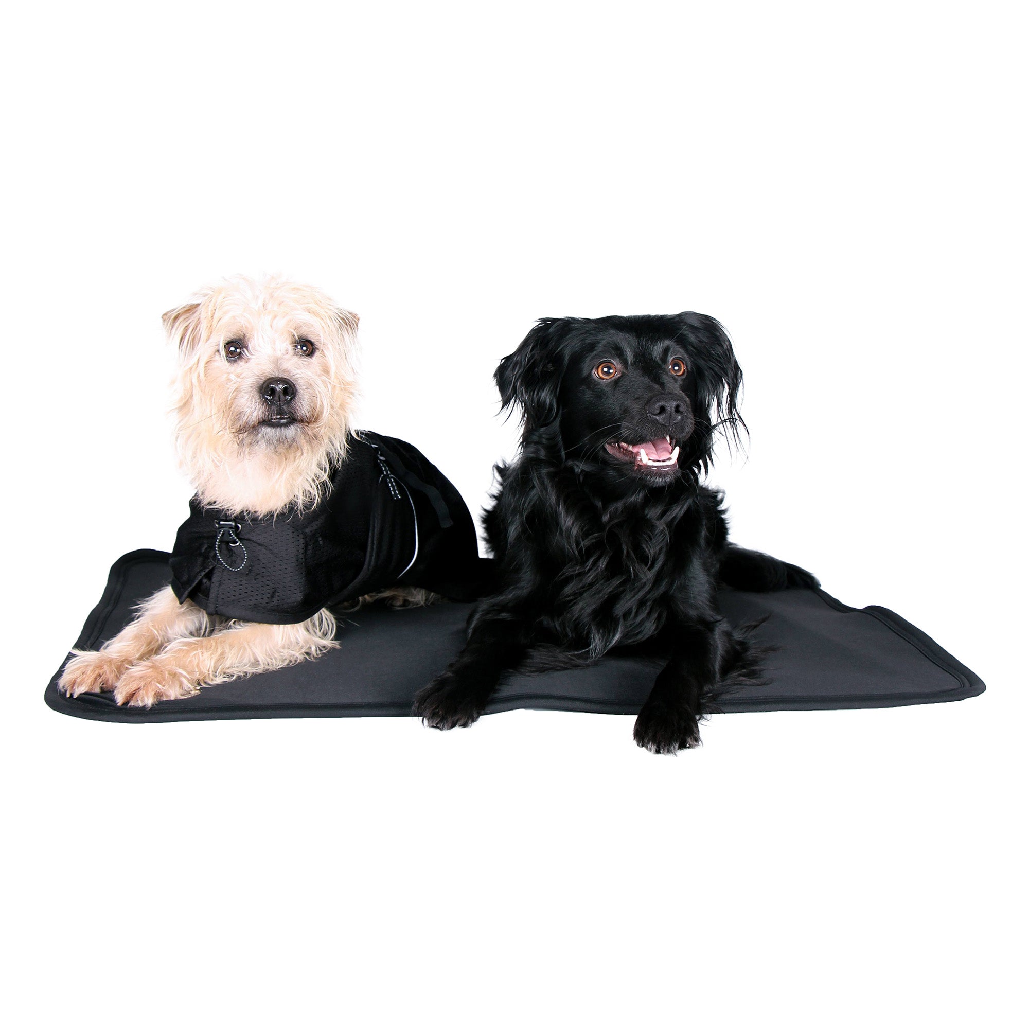 Back on Track Dog Bed Crate Liner – soft, breathable, and supportive for canine comfort, recovery, and restful sleep