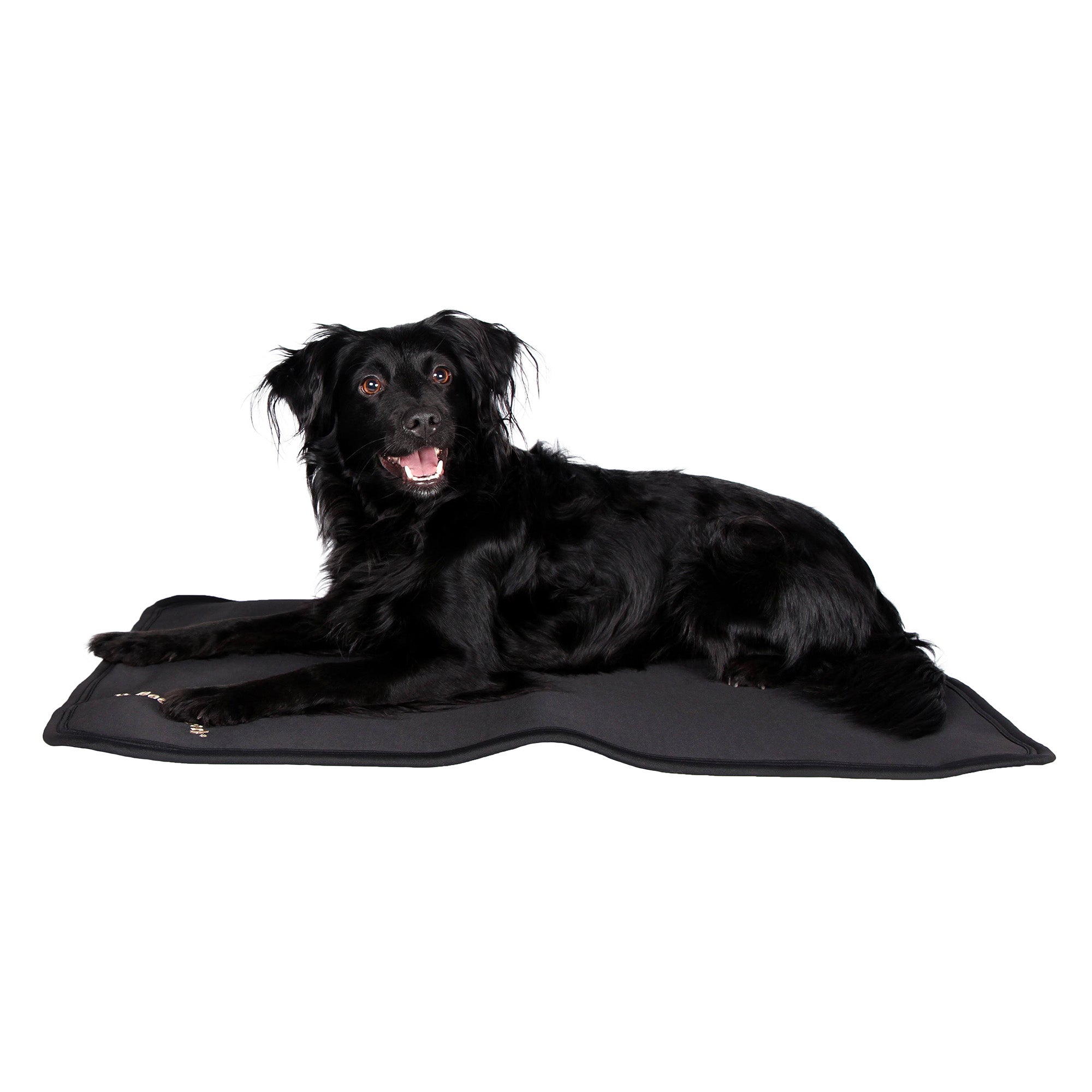 Back on Track Dog Bed Crate Liner – soft, breathable, and supportive for canine comfort, recovery, and restful sleep