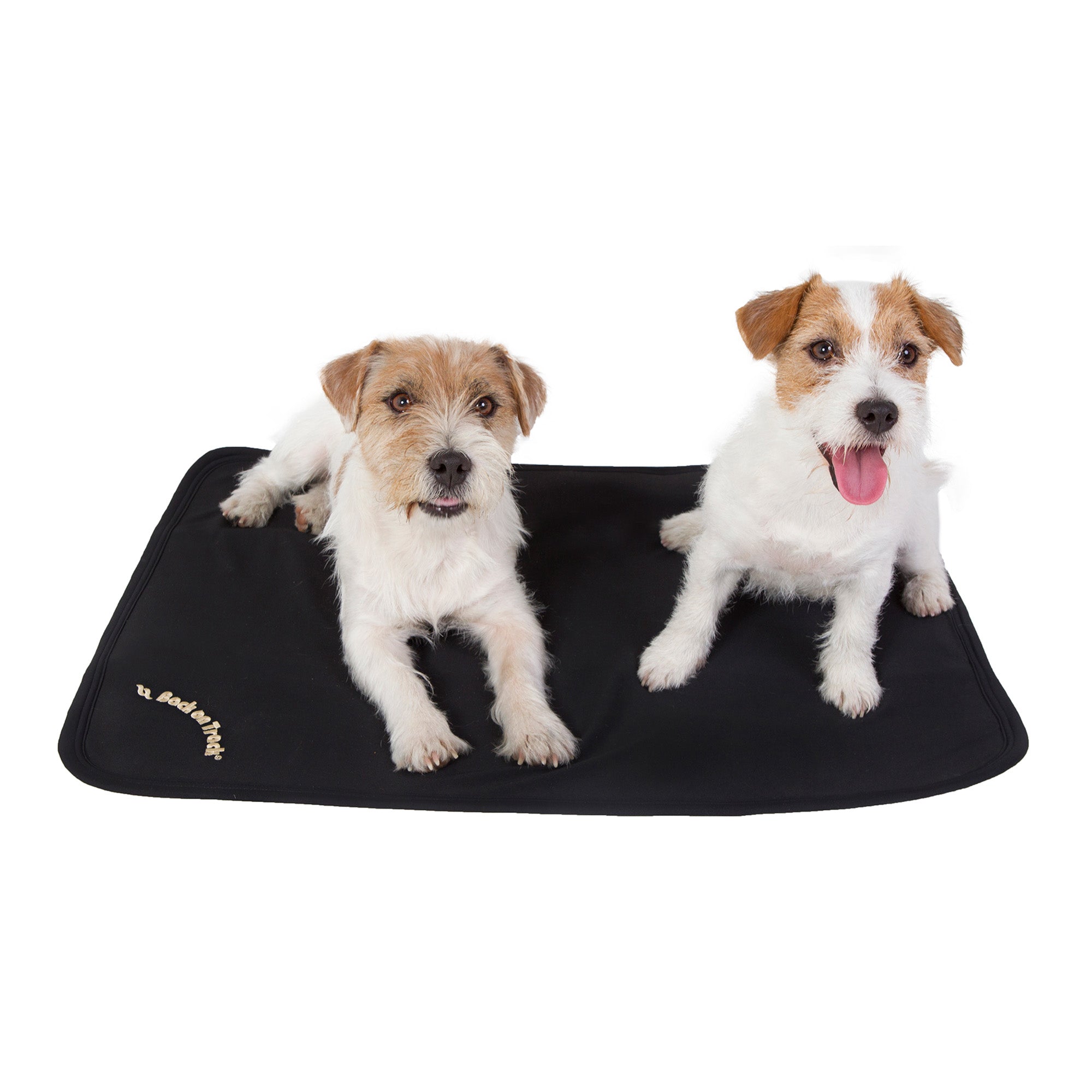 Back on Track Dog Bed Crate Liner – soft, breathable, and supportive for canine comfort, recovery, and restful sleep