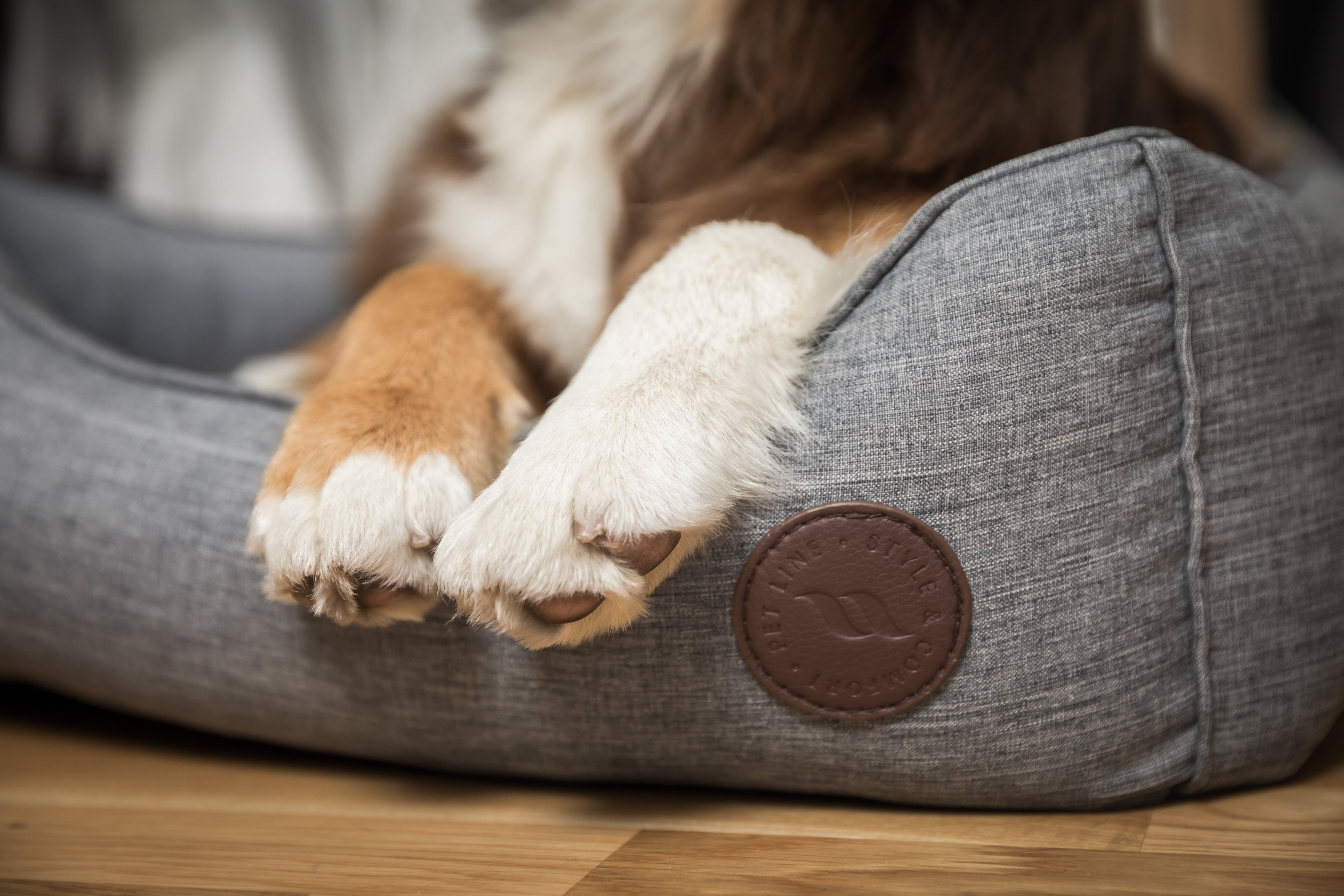 Rocky Dog Bed with soft padding, durable outer fabric, and Welltex® lining for comfort, support, and recovery