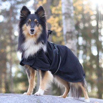Therapeutic Dog Mesh Coat