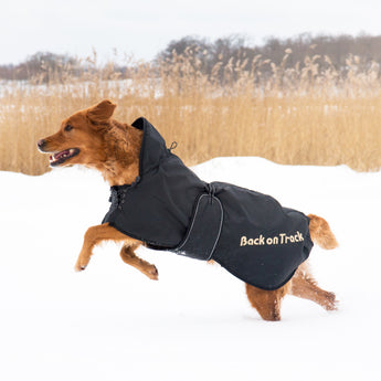 Back on Track Regular Dog Coat – comfortable, weather-resistant coat for canine warmth and therapeutic support