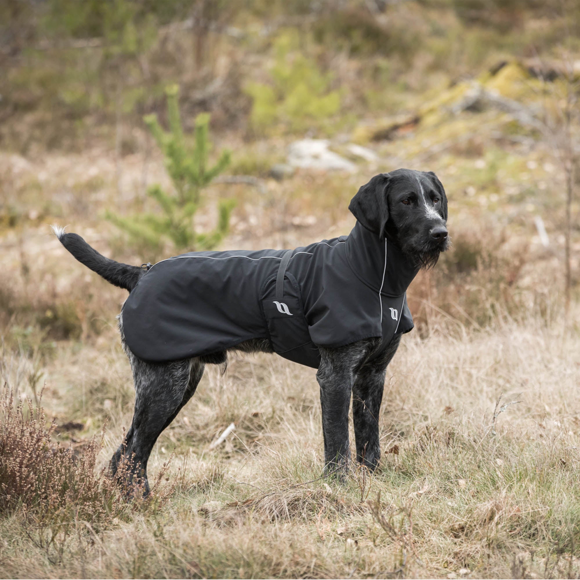 Bark Dog Coat with Iontex®, reflective trim, and ergonomic fit for high tail set dogs' comfort, mobility, and safety