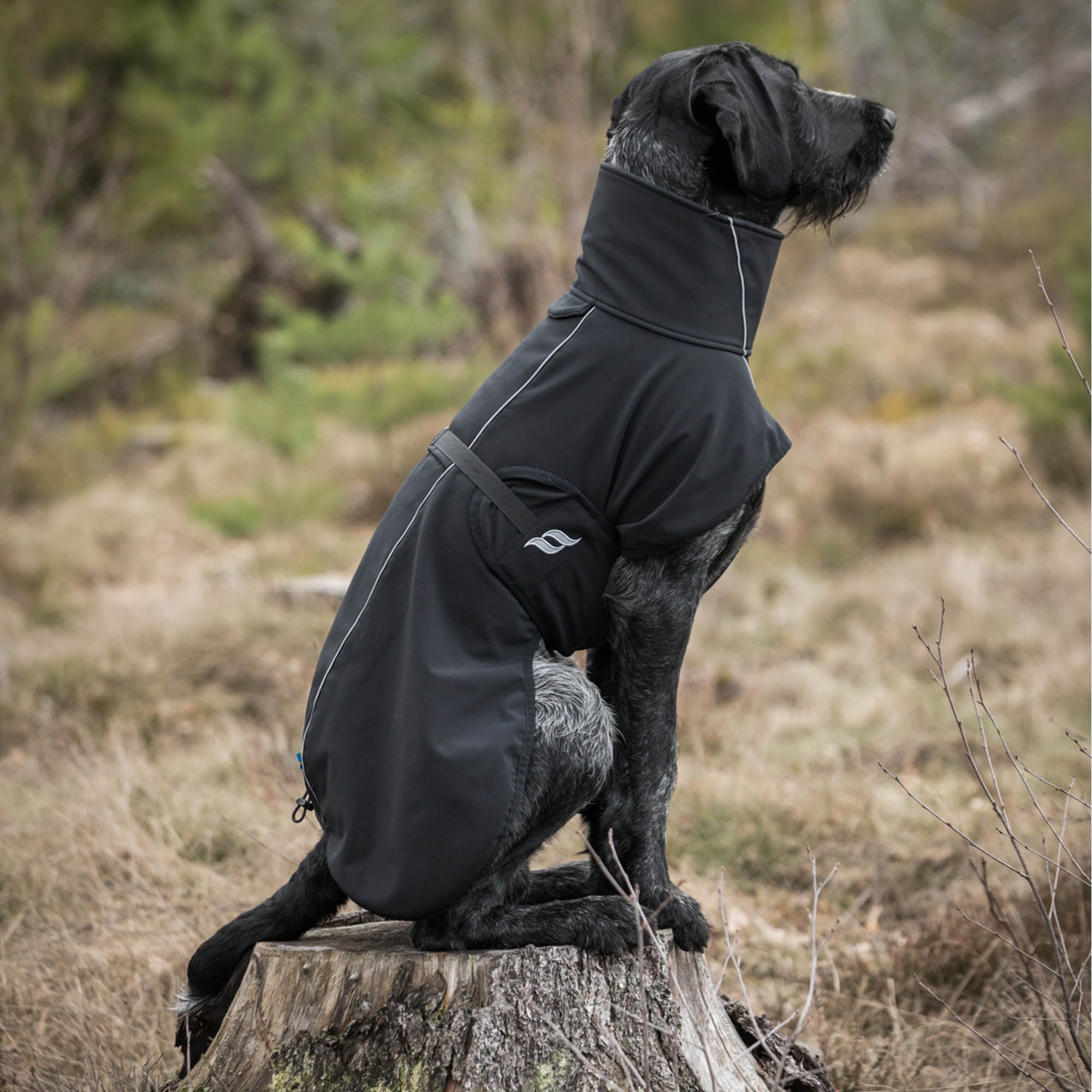 Bark Dog Coat with Iontex®, reflective trim, and ergonomic fit for high tail set dogs' comfort, mobility, and safety