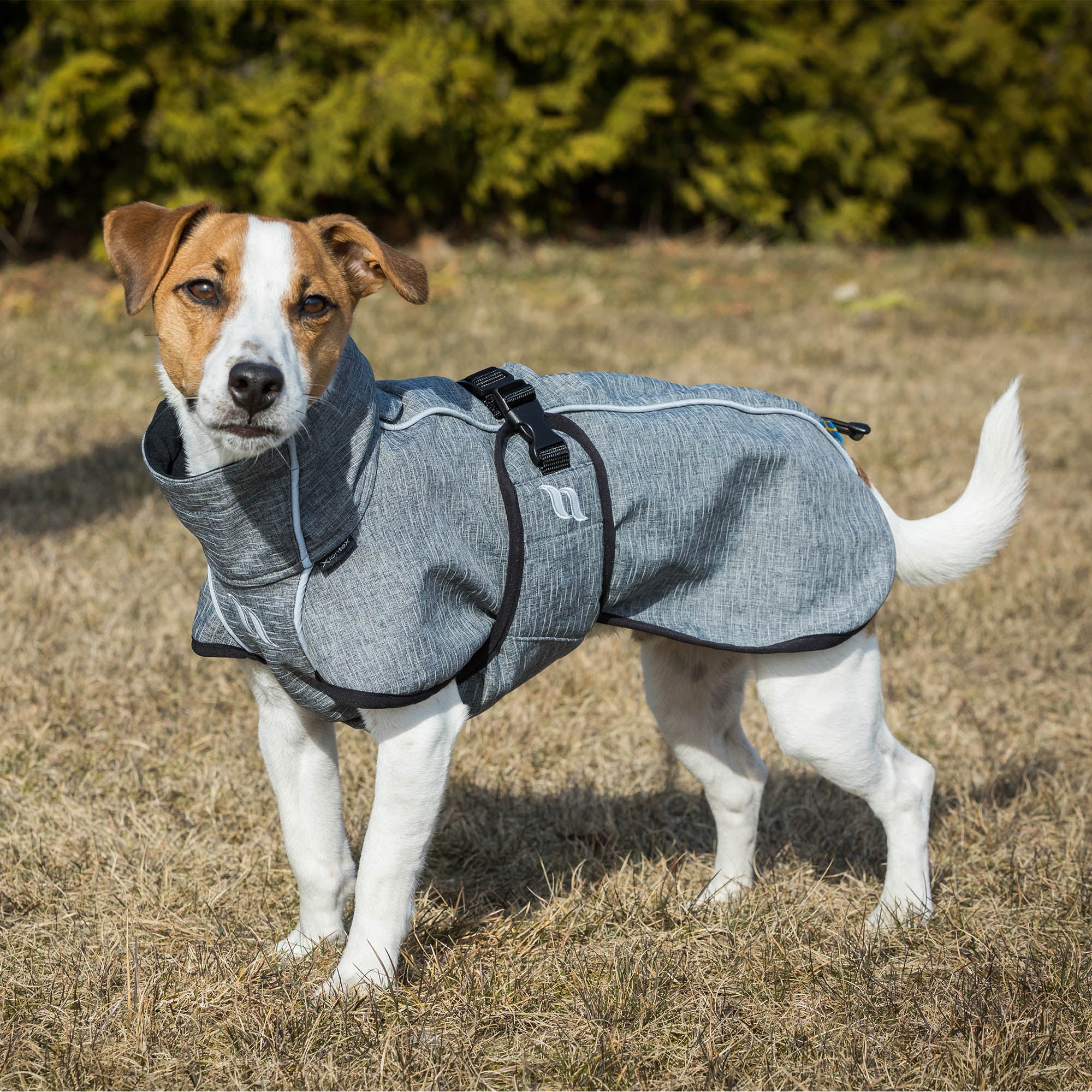 Bark Dog Coat with Iontex®, reflective trim, and ergonomic fit for high tail set dogs' comfort, mobility, and safety