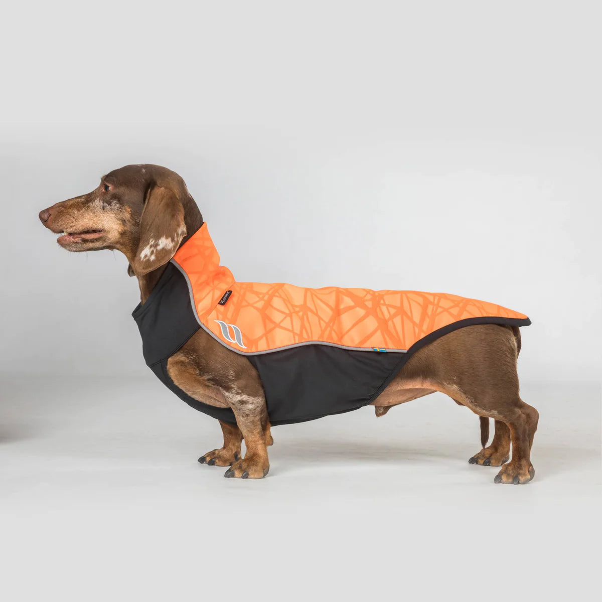 Back on Track Eddie Petite Dog Jumper in bright orange with reflective strips for high visibility and safety