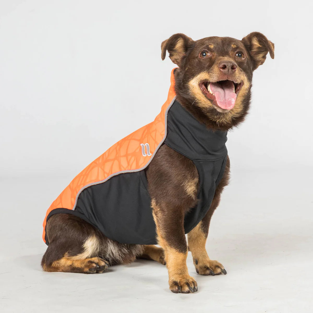 Back on Track Eddie Petite Dog Jumper in bright orange with reflective strips for high visibility and safety
